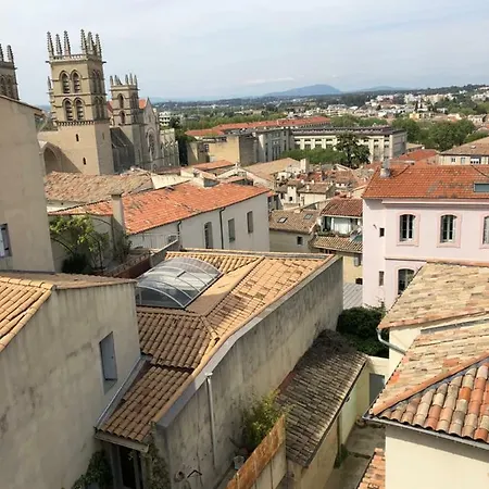 Sous Le Toit Pres De La Cathedrale St.pierre Apartment Montpellier